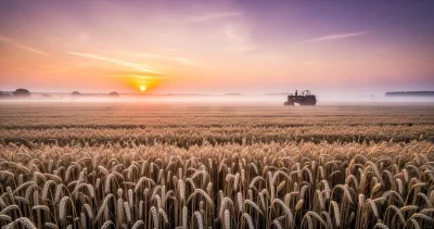 De la récolte à la nature : 40 proverbes qui définissent la vie de paysan