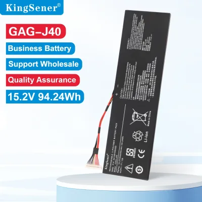 Batterie d'ordinateur portable Li-polymère 15,2 V
